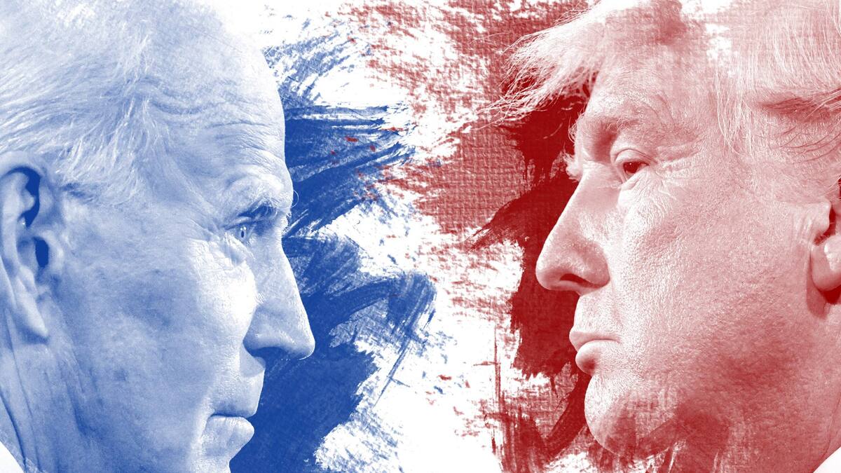 Biden oder Trump Welche europäischen Aktien von welchem Sieger profitieren Handelszeitung