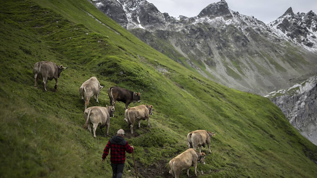 Nationalratskommission will mehr Geld für Landwirtschaft sprechen