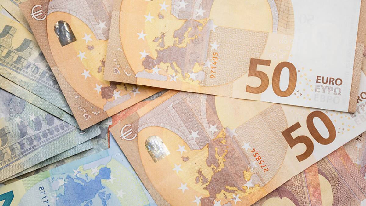 Die Euro-Währungsunion ist ein bis heute kritisiertes Modell