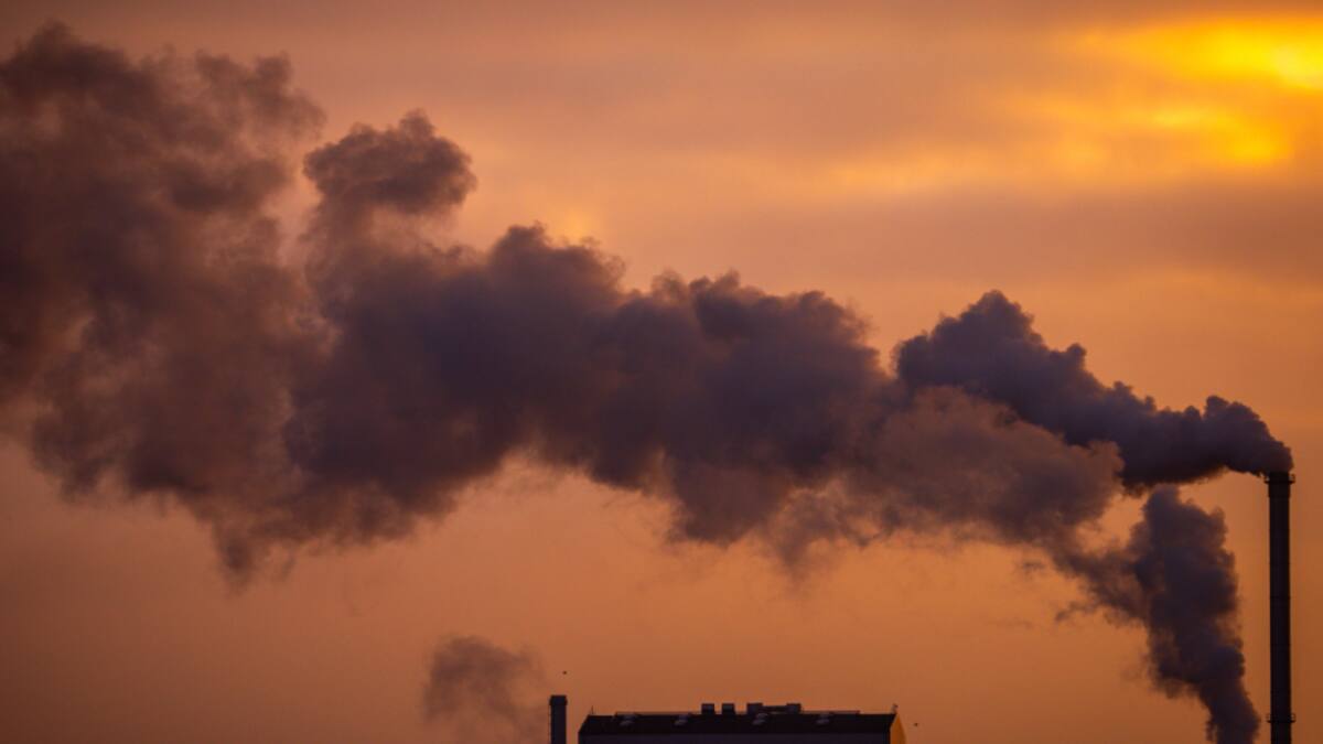 0,5 Prozent weniger CO2 bei Firmen mit Netto-Null-Ziel