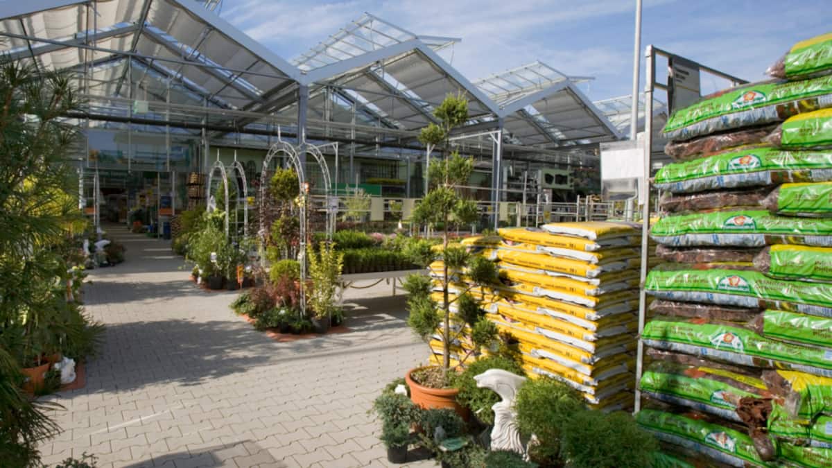 Neue Methode kann Torf in Blumenerde aufspüren