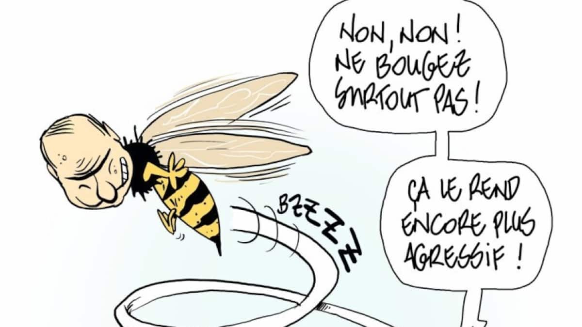 Pitch Comment gewinnt Swiss Cartoon Award