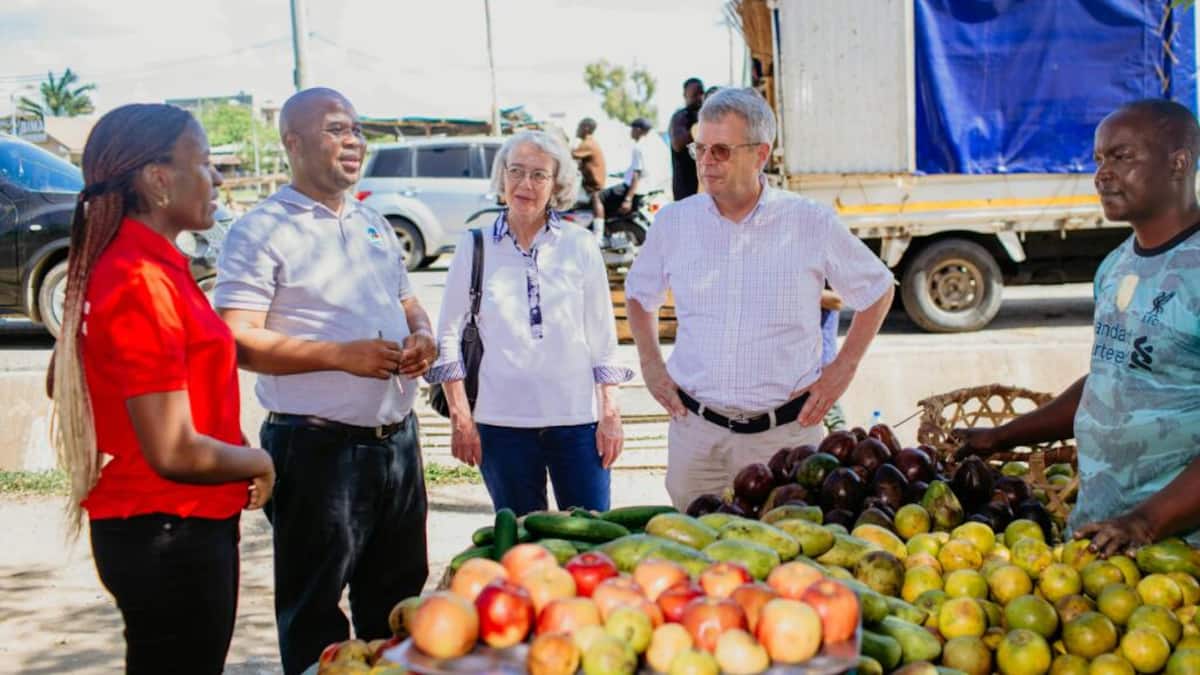 Statt Spenden: Stiftungen und NGOs entdecken Impact Investing