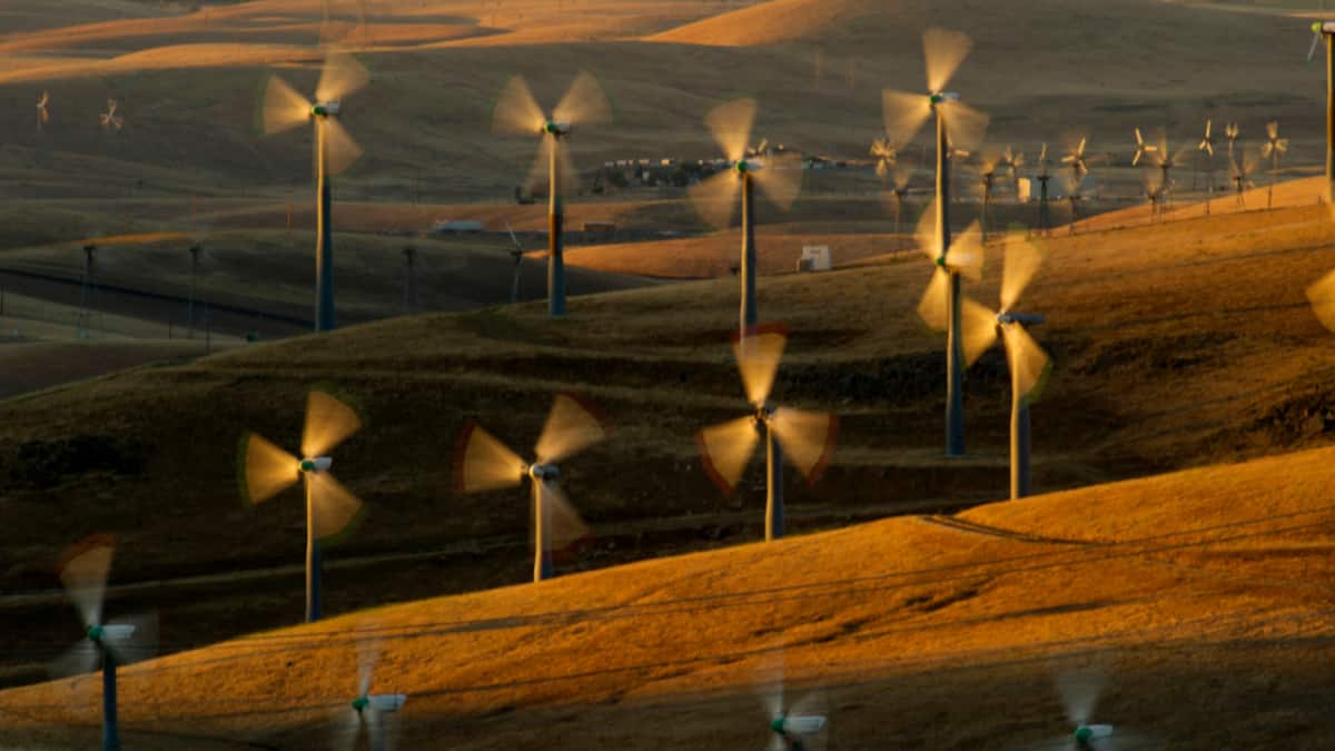 Boom erneuerbarer Energien zum "Durchbruch des Jahres" gekürt