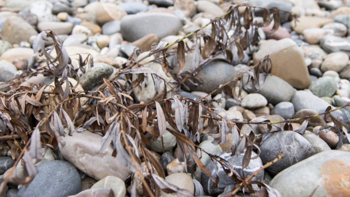 Restwasser kostet laut Studie weniger Strom als befürchtet