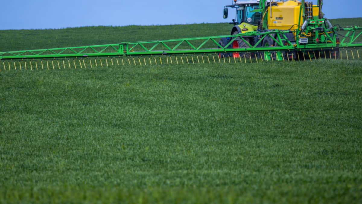 Expertin: Blockade im Nahen Osten könnte Lebensmittelkrise auslösen