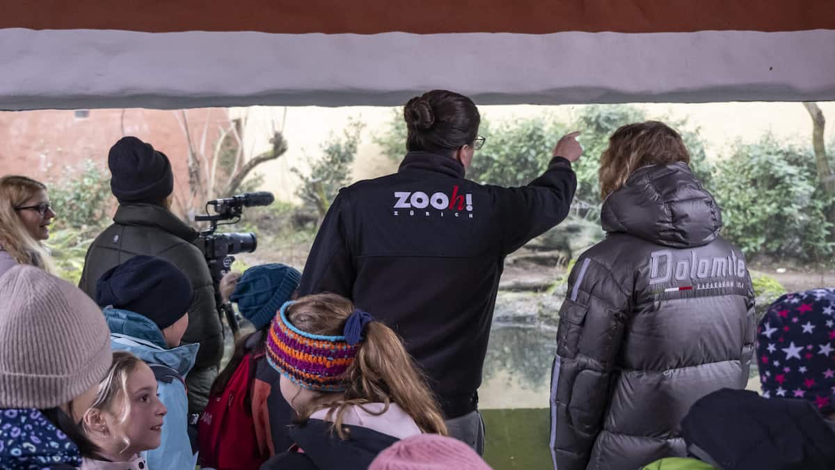 Streit um neues Millionenprojekt im Zoo Zürich eskaliert