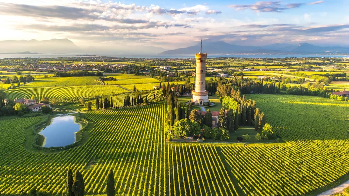 Das sind die Wein-Champions rund um den Gardasee