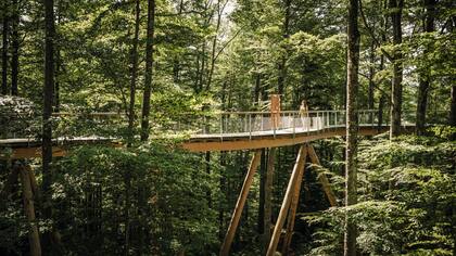 Der Baumwipfelpfad in Mogelsberg mit Aussicht auf das Neckertal. Der Baumwipfelpfad in Mogelsberg mit Aussicht auf das Neckertal.