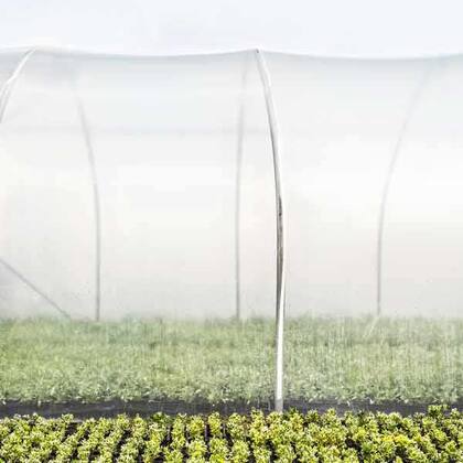 Einen Beitrag leisten, der über den reinen Profit hinausgeht Einen Beitrag leisten, der über den reinen Profit hinausgeht