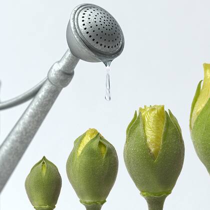 Privatmärkte: Diversifizierung über Liquide Instrumente hinaus Privatmärkte: Diversifizierung über Liquide Instrumente hinaus