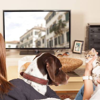 TV-Abo: Vergleich TV-Abo: Vergleich