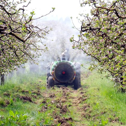 Wie giftig ist unser Essen wirklich? Unsere Früchte und Gemüse sind häufig gespritzt, sprich chemisch behandelt. Das ist nicht unproblematisch.
