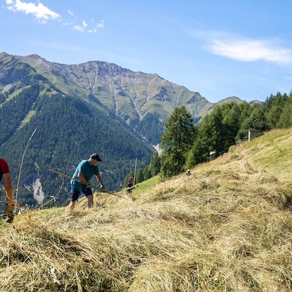 Freiwilligen-Einsätze auf Arbeitszeit sind gut für alle Hier heuen Corporate Volunteers in Vnà im Engadin.