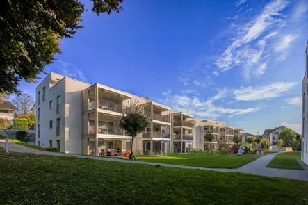 Immobilien Menziken Helvetica