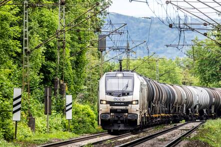 Güterzug mit einer Lokomotive von Stadler Rail: Dem Unternehmen könnte die Frankenschwäche zugute kommen.