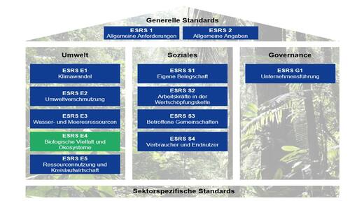 Warum sich Unternehmen mit Biodiversität beschäftigen müssen HBA