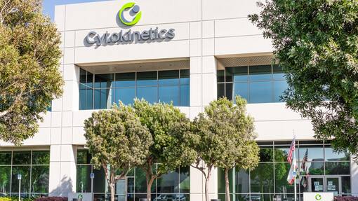 Novartis soll kurz vor Milliarden-Übernahme von US-Firma stehen Die kalifornische Firma Cytokinetics hat ein begehrtes Herzmedikament.