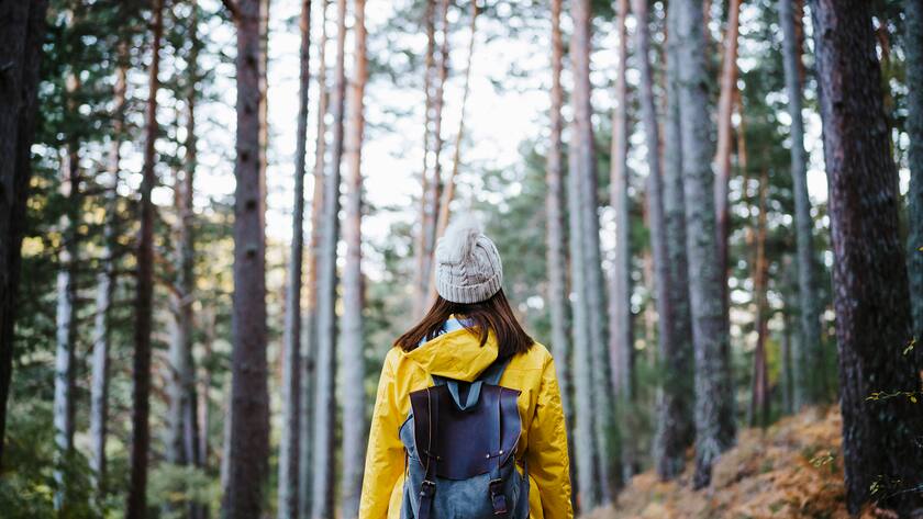 Menschen in der Optimierungsfalle – alle reden von grün, aber viele wissen nicht mehr, wie sie es umsetzen können.