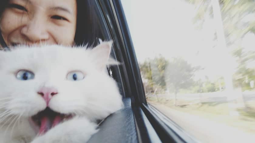 Instagram verbirgt «Likes» weltweit – zumindest als Test instagram