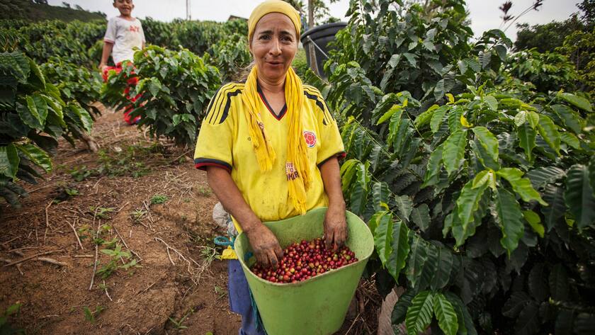 ESG in der Praxis: Gemeinnützige Stiftungen wie Fairtrade Max Havelaar motivieren Unternehmen zum Handel mit fair produzierten Produkten.