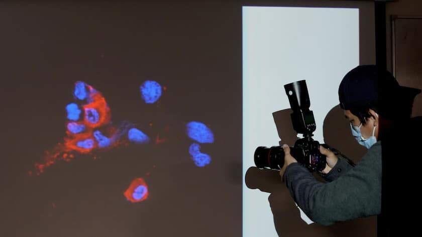 A photographer takes photo of a projector image showing immunofluorescence staining of omicron infected Vero E6 cells in Hong Kong, Wednesday, Dec. 1, 2021. Researchers at The University of Hong Kong have succeeded in isolating the omicron coronavirus variant from clinical specimens, making them the first research team in Asia that has succeeded in this regard, the university said. (KEYSTONE/AP Photo/Kin Cheung)