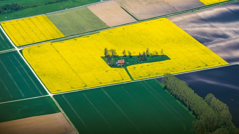 Bei der regenerativen Landwirtschaft geht es darum, die Bodenfruchtbarkeit zu stärken.