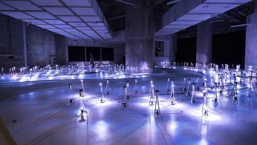 Lukas Truniger, Distributive intelligence | A group mind, 2021.