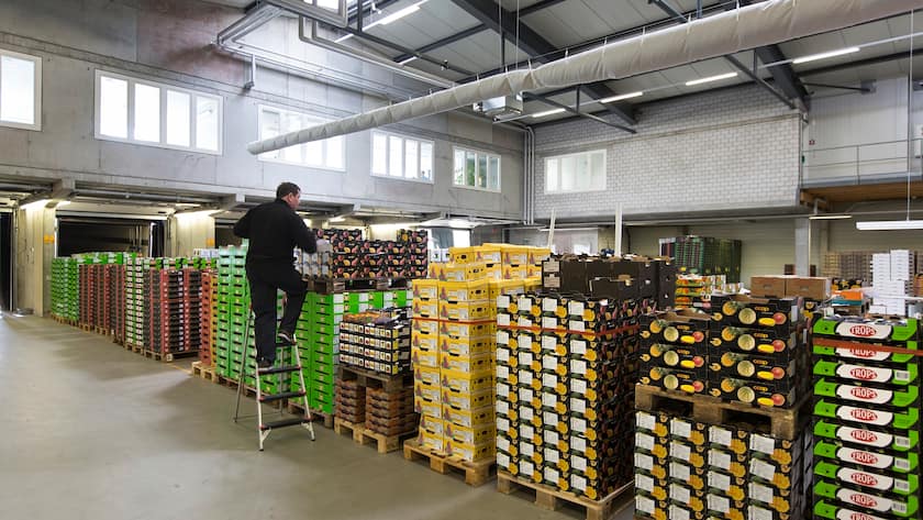 Lagerlogistik: Durch die globalen Lieferkettenprobleme ist die Bedeutung der Lagerlogistik weiter gestiegen.