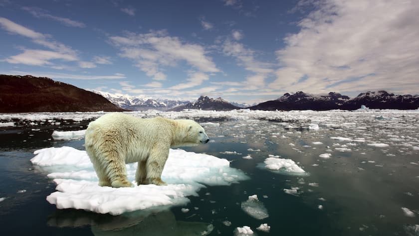 Klimawandel - Klimaerwärmung