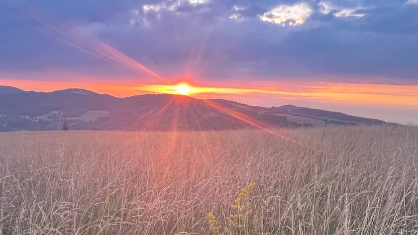 Sonne Wolken Grasland