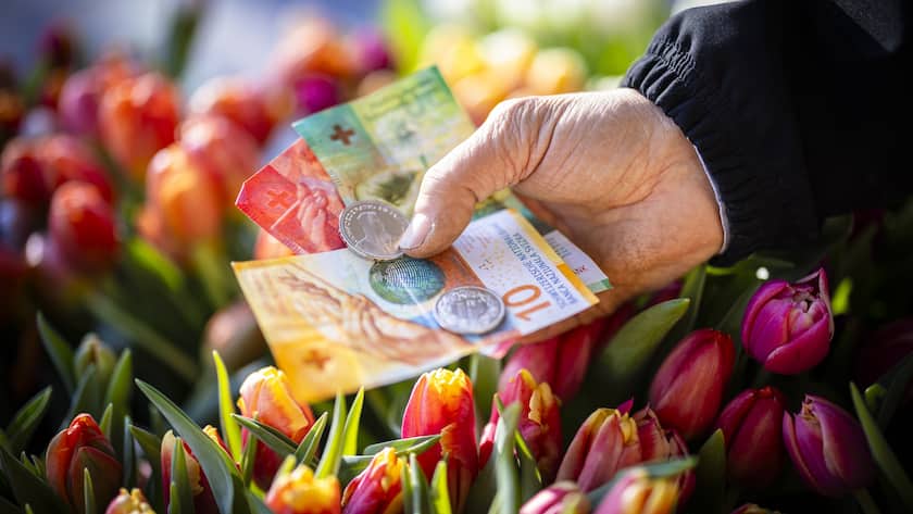 Ein Blumenhaendler zeigt Schweizer Franken in Noten und Muenzen am Wochenmarkt auf dem Buerkliplatz, am Freitag, 13. Februar 2024 in Zuerich. Der Schweizer Franken hat nach der Bekanntgabe ueberraschend tiefer Inflationsdaten gegenueber dem US-Dollar und dem Euro deutlich nachgegeben. Die Schweizer Landeswaehrung notiert so tief wie seit Mitte Dezember nicht mehr. (KEYSTONE/Michael Buholzer)
