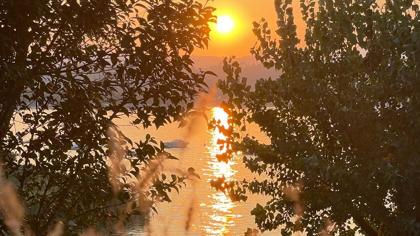 Sonne Zukunft Licht Sonnenuntergang See Wasser