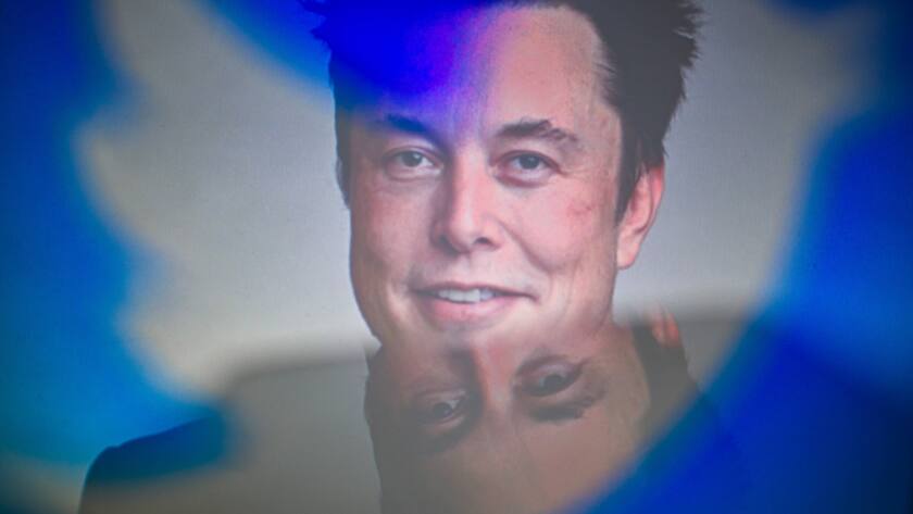 Elon Musk kauft Twitter