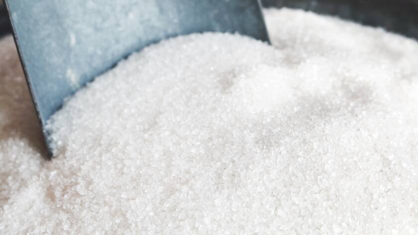 Eindruck aus der Zuckerfabrik.