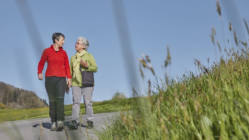 Voraussichtliche Höhe der Altersrenten stabilisiert sich