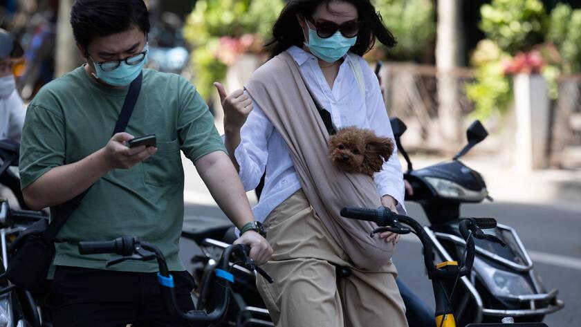 220601 -- SHANGHAI, June 1, 2022 -- A woman holding her pet rides a bike in Xuhui District of Shanghai, east China, May 31, 2022. CHINA-SHANGHAI-LIVING-PRODUCTION-RESUMPTION CN JinxLiwang PUBLICATIONxNOTxINxCHN