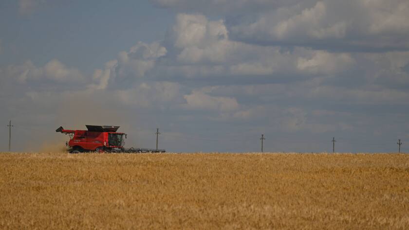 Sommer Ernte in Litauen: Getreide.