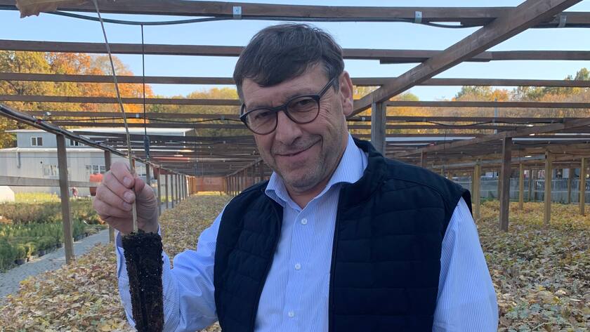 Martin Huber mit Eichen-Setzling.