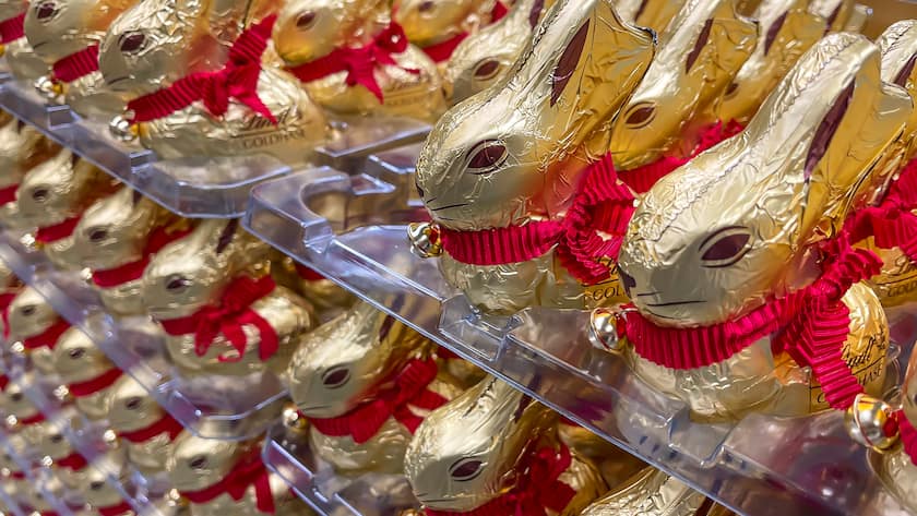 Lindt Goldhasen in einer Reihe.