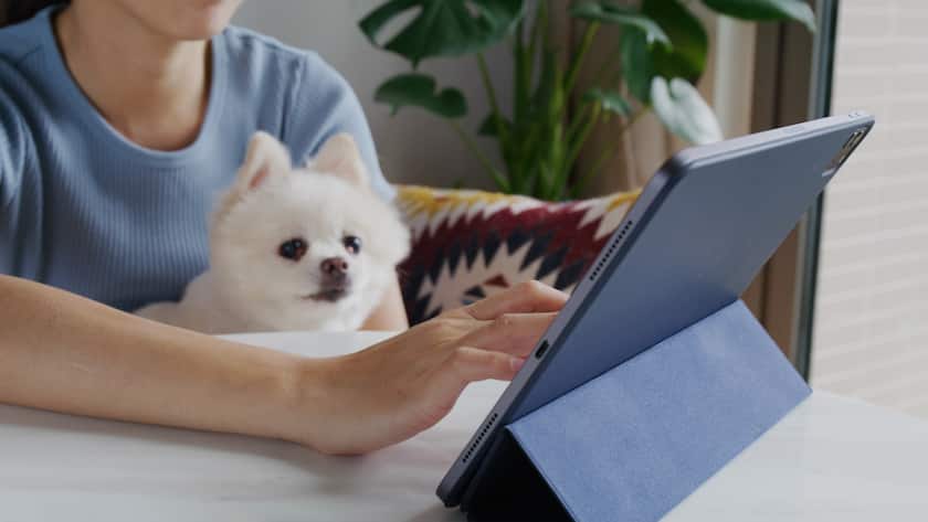 Welcher schweizerische Versicherer bietet gegenwärtig die beste «Digital Insurance Experience»?