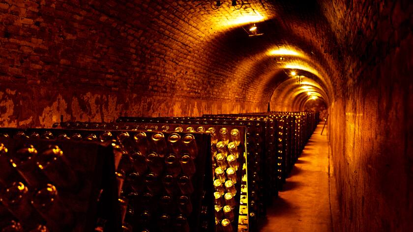 Frankfreich, Reims, Champagne Louis Roederer. Ruettelpulte mit Roederer Cristal im Keller,