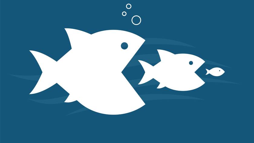 Grosse Fische schlucken die kleinen Fische. Das nennt man auch Marktkonsolidierung.