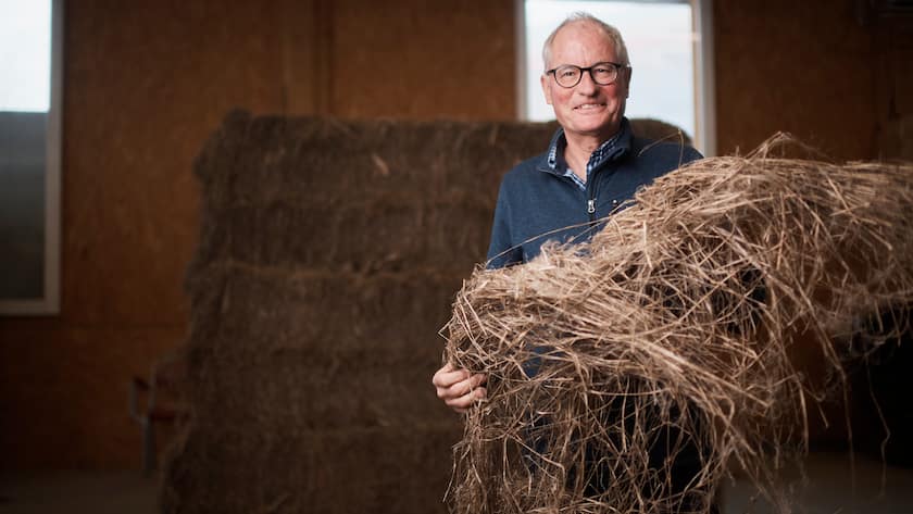 Martin Kloeti von Glaernisch Textil zeigt die Herstellung von Textil aus Hanf, aufgenommen am Mittwoch, 15. Dezember 2021 in Schwaendi.