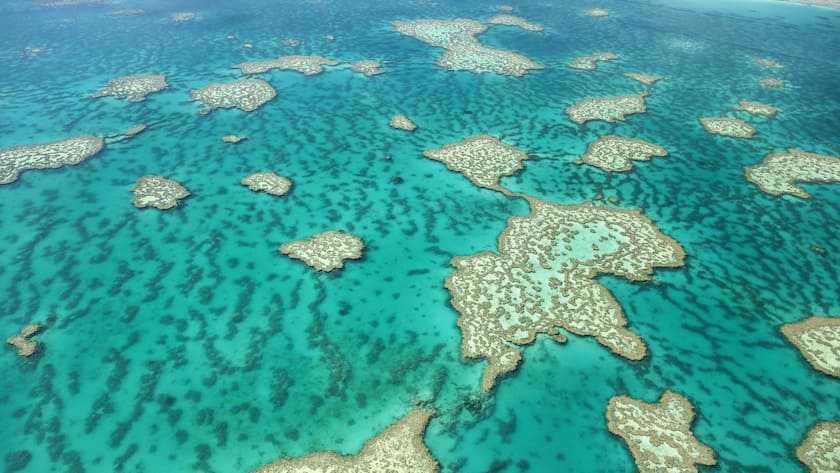 Aerial View of Great Barrier Reef