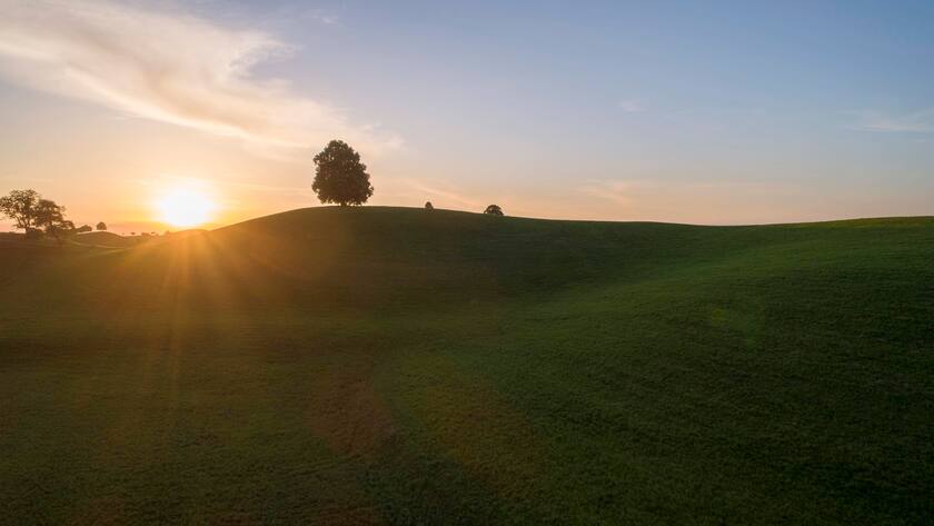 Sonnenuntergang mit Lindenbaum