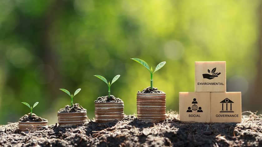 ESG Reporting, Nachhaltigkeitsberichterstattung
