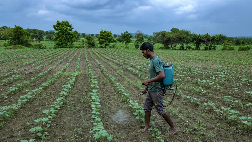 Tagelöhner ohne Schutzkleidung