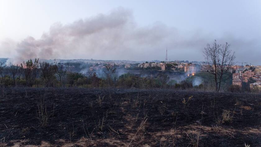 Feuer in einem Park in der italienischen Hauptstadt Rom.