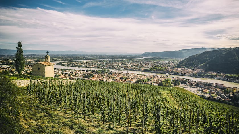 Weinberg «Hermitage», hoch über der Rhone gelegen, ist eine der teuersten Lagen der Welt.